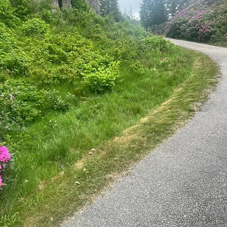 Fritidsbolig Ved Sjoen I - Kort Kjoretur Til Dyreparken *